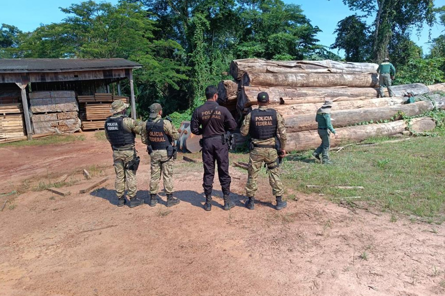 URU PRAESIDIUM: Polícia Federal realiza operação para combater ações ilegais em terra indígena - News Rondônia