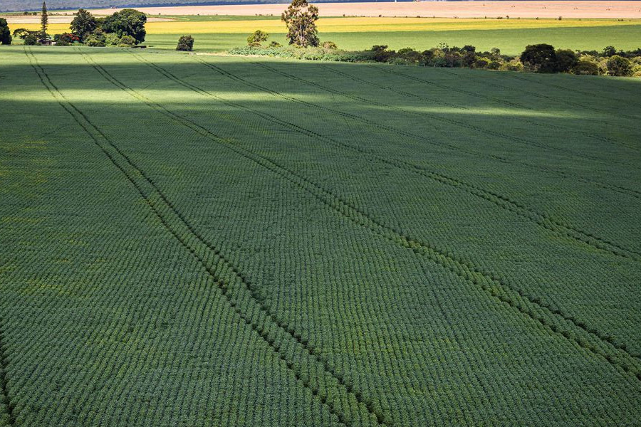Senado aprova mudança no cálculo do preço mínimo de produtos agrícolas - News Rondônia