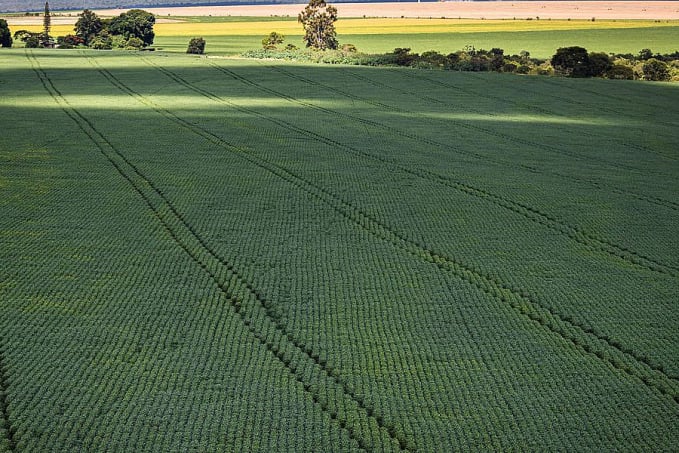 Senado aprova mudança no cálculo do preço mínimo de produtos agrícolas - News Rondônia