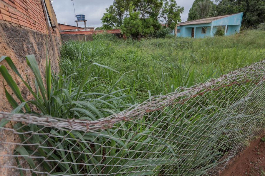 Fiscalização em terrenos baldios é intensificada em Porto Velho - News Rondônia