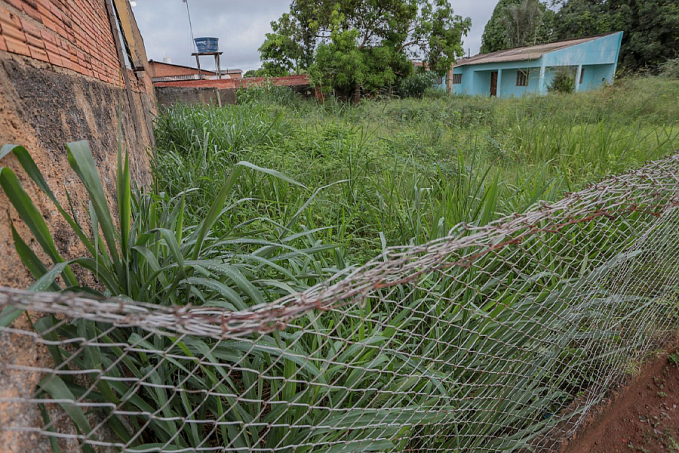 Fiscalização em terrenos baldios é intensificada em Porto Velho - News Rondônia