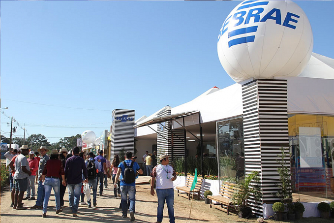 Sebrae e Ministério da Agricultura estarão juntos na 9ª Rondônia Rural Show - News Rondônia