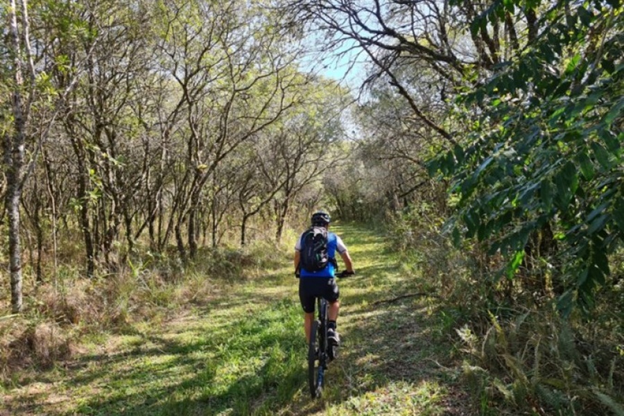 Assembleia aprova projeto de lei que incentiva o cicloturismo em Rondônia - News Rondônia