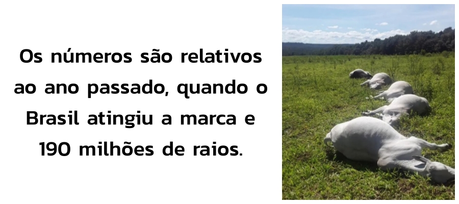 Rondônia na 4ª posição do norte com maior incidência de raios: População precisa ficar atenta - News Rondônia