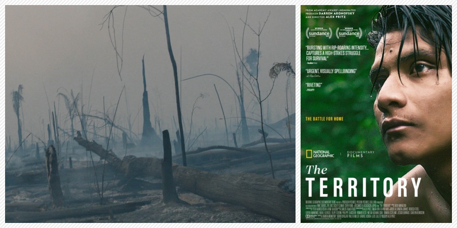 'O Território', doc gravado em Rondônia pode integrar a lista dos indicados ao Oscar - News Rondônia
