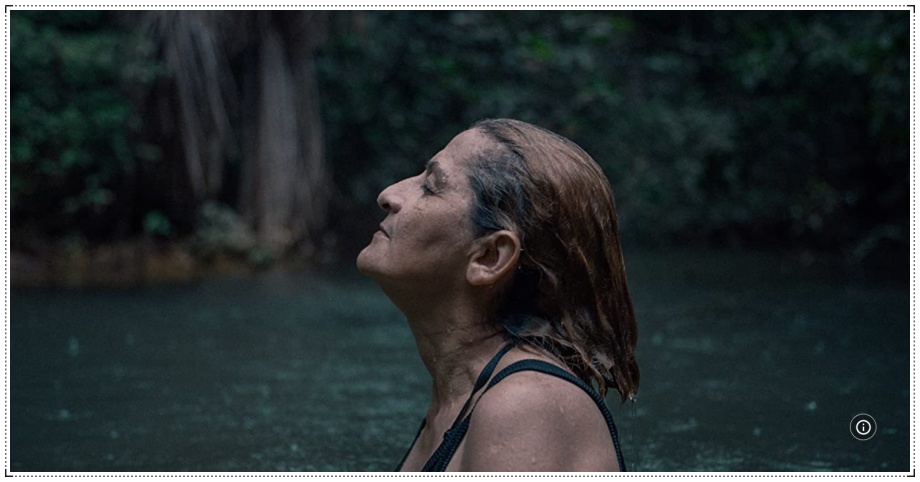 'O Território', doc gravado em Rondônia pode integrar a lista dos indicados ao Oscar - News Rondônia