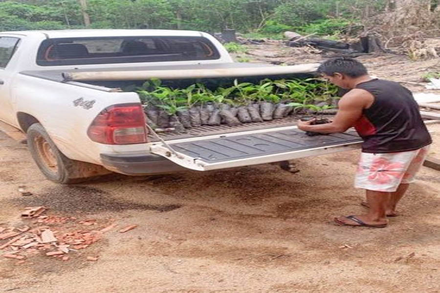 Capacitação impulsiona produção sustentáveis nas comunidades indígenas de Rondônia - News Rondônia