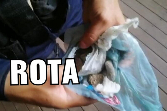 Patrulha Reforço prende traficante em Vilhena - News Rondônia