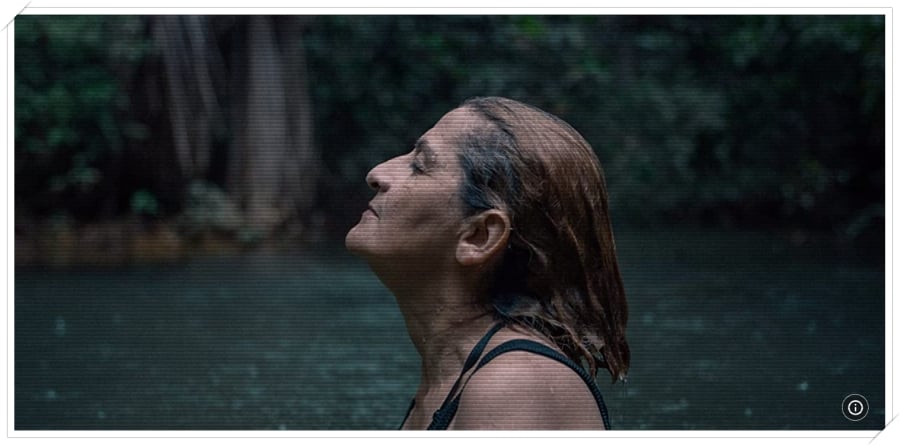 O Território vence o 83º Peabody: 'Ganhamos mais um prêmio' - News Rondônia