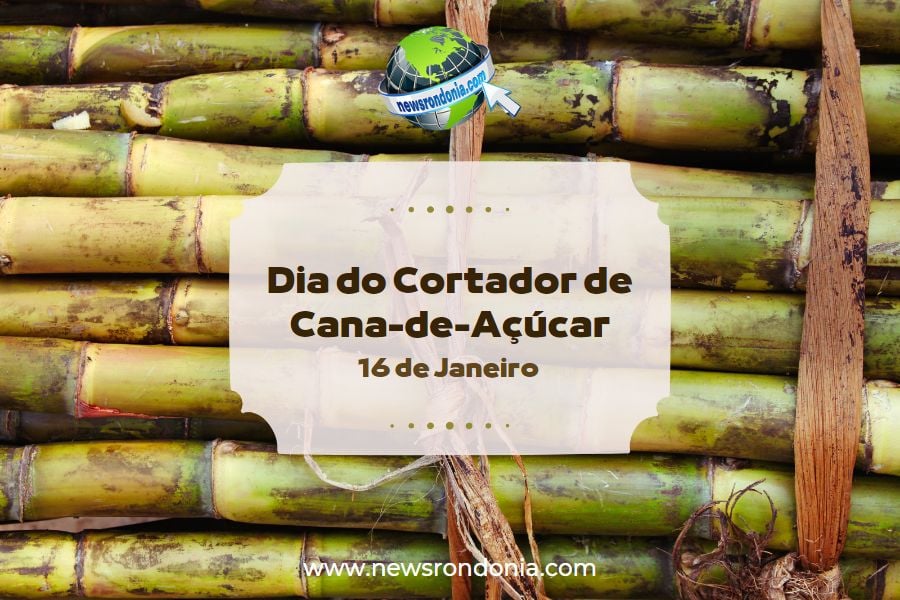16/01  Dia do Cortador de Cana-de-Açúcar - News Rondônia
