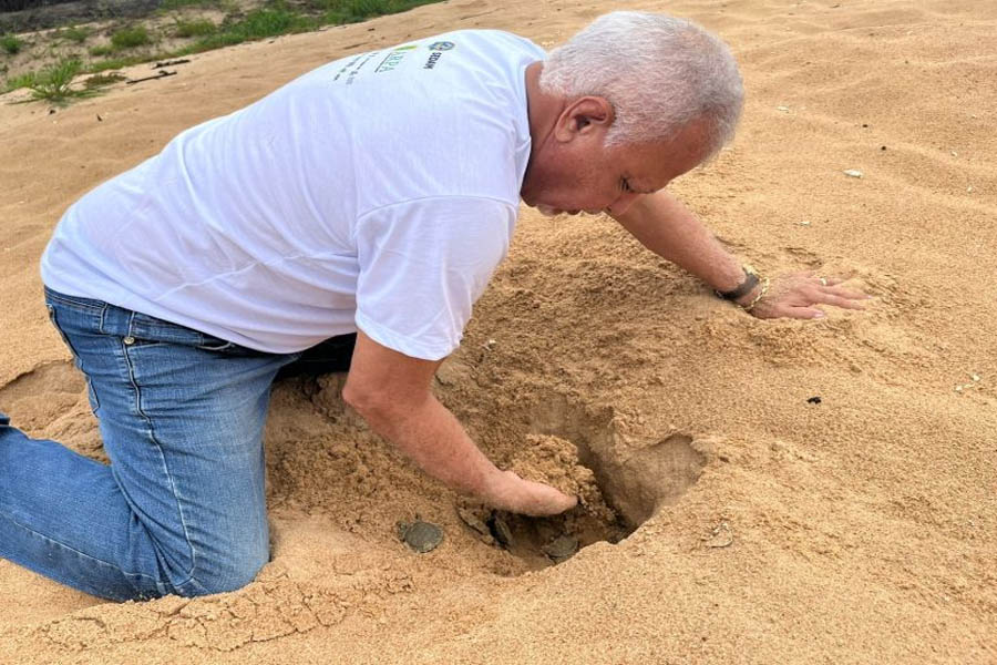 Soltura dos quelônios é realizada no Parque Estadual Corumbiara em Rondônia - News Rondônia