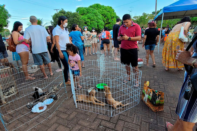 Prefeitura realiza feira para adoção de pets no Parque da Cidade - News Rondônia