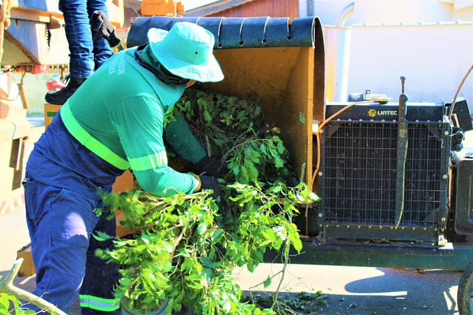 Prefeitura de Ariquemes promove gestão dos resíduos verdes utilizando triturador de galhos - News Rondônia