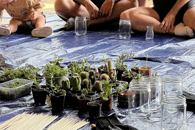 Workshop de terrário aborda funcionamento do ecossistema terrestre - News Rondônia