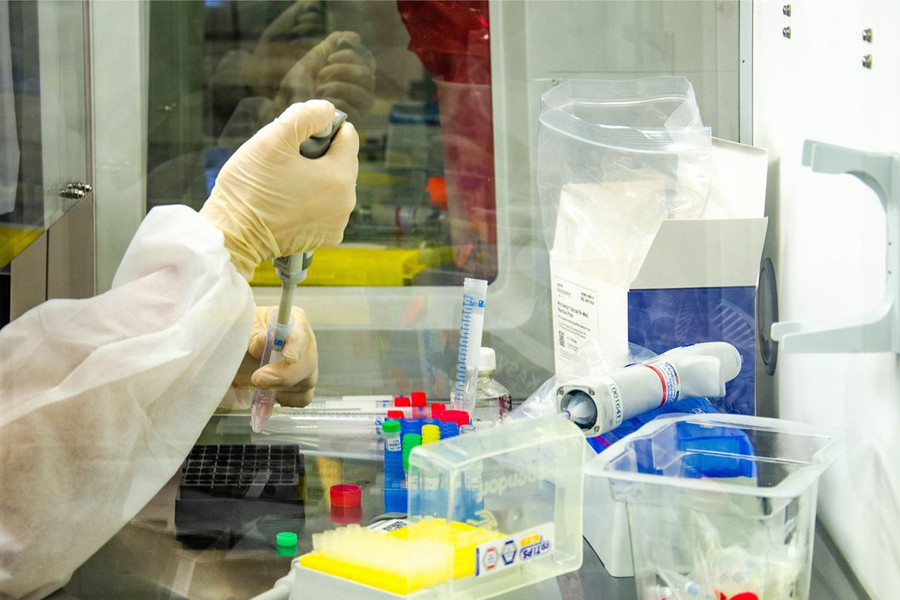 Fiocruz pede registro de dois testes moleculares para monkeypox - News Rondônia