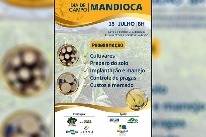 Dia de campo de mandioca - News Rondônia