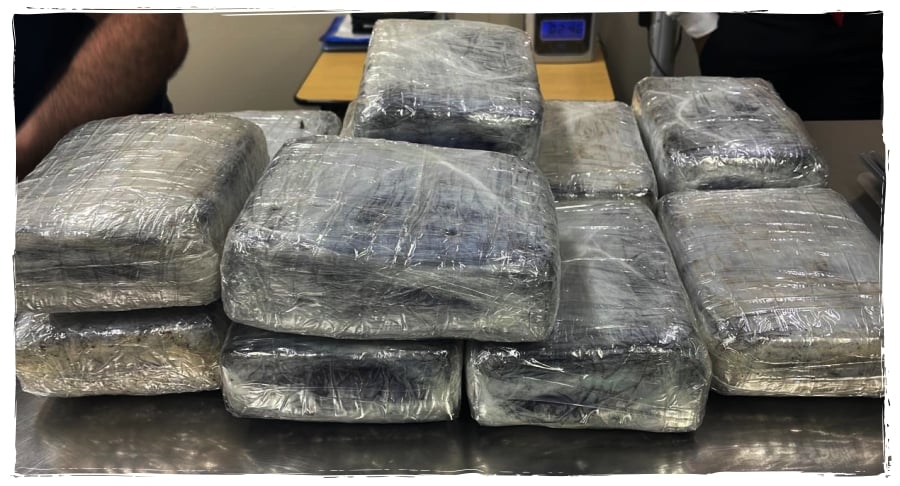 Prisão em flagrante: homem detido com maconha no Aeroporto de Porto Velho - News Rondônia