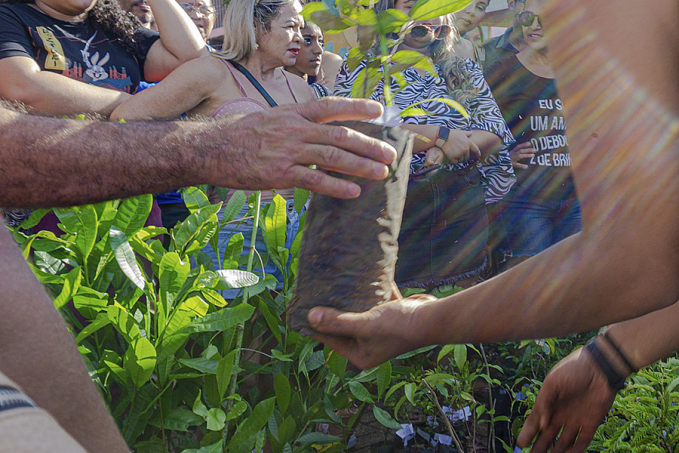 Prefeitura distribui mais de 300 mudas de espécies nativas - News Rondônia