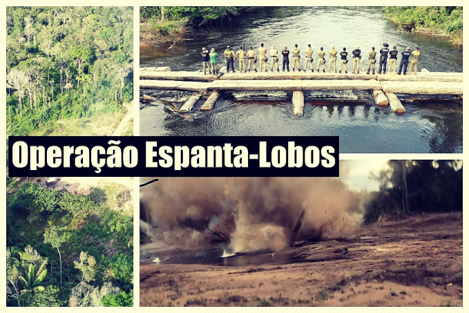 Operação Espanta-Lobos: Polícia Federal deflagra segunda fase contra crimes ambientais em Rondônia - News Rondônia