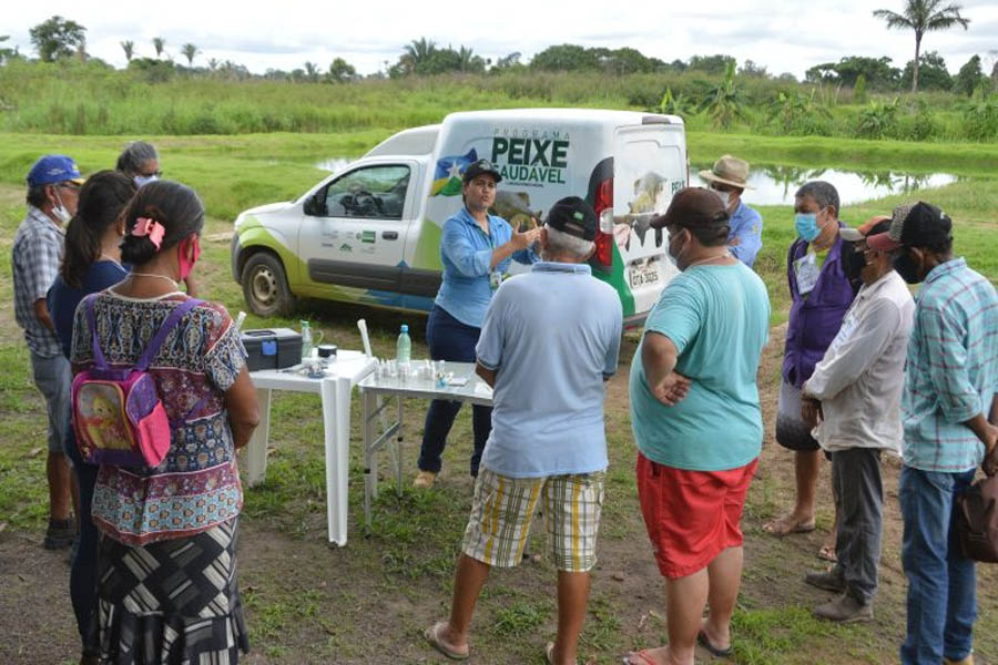 Fortalecimento da agricultura familiar marca ações da Emater Rondônia, em 2022 - News Rondônia