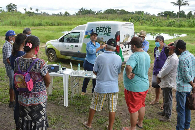 Fortalecimento da agricultura familiar marca ações da Emater Rondônia, em 2022 - News Rondônia
