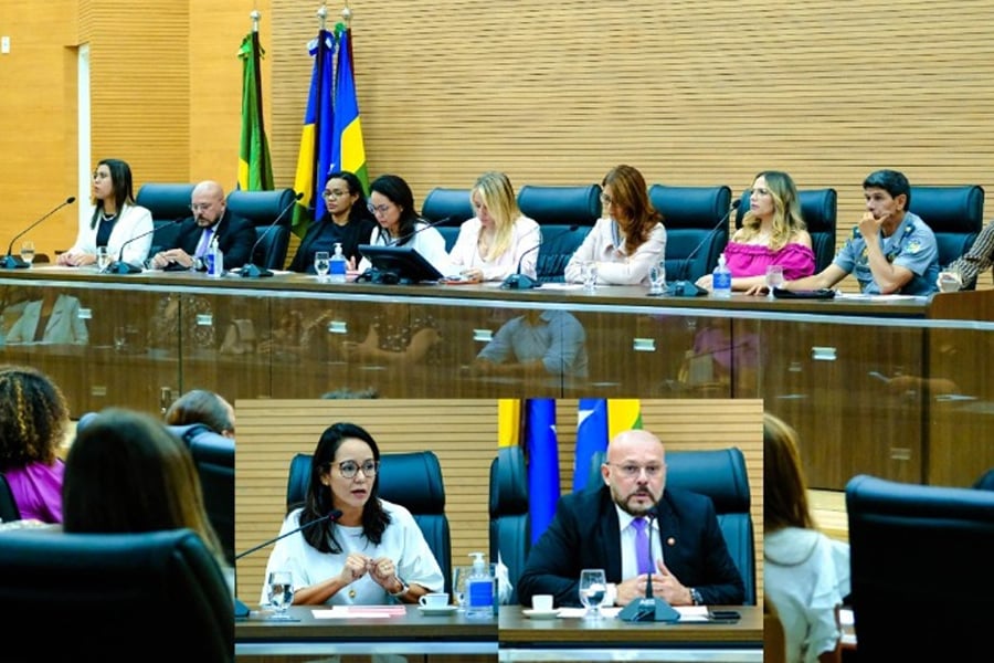Violência doméstica: Integrantes do MPRO debatem o tema em audiência pública na Assembleia Legislativa - News Rondônia