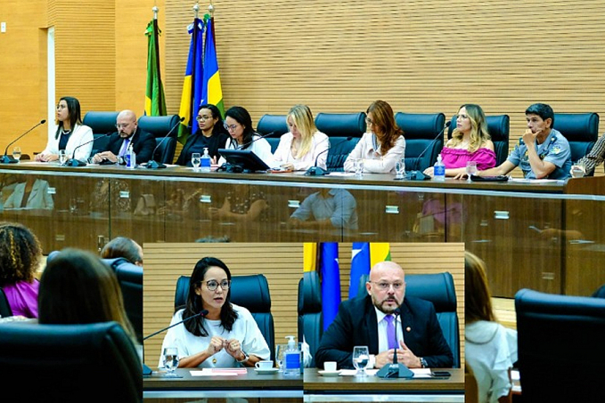 Violência doméstica: Integrantes do MPRO debatem o tema em audiência pública na Assembleia Legislativa - News Rondônia