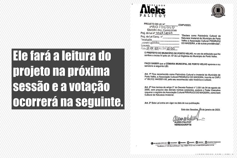 Palitot propõe Bloco Pirarucu do Madeira como Patrimônio Cultural Imaterial - News Rondônia