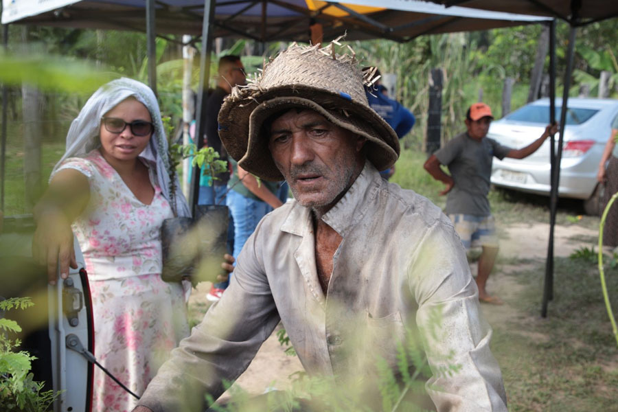 Cerca de 700 mudas de árvores são distribuídas na área rural de Porto Velho - News Rondônia