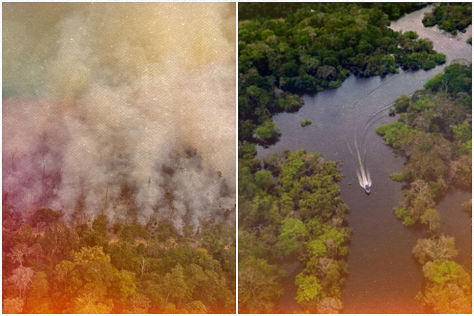 Savana gramada: cenário começa a ser presente na Amazônia; Processo é irreversível, diz pesquisa - News Rondônia