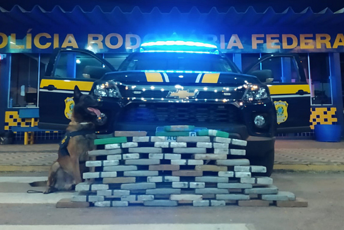 Jaruense de 30 anos é preso pela PRF no MT transportando cerca de 56 kg de cocaína - News Rondônia