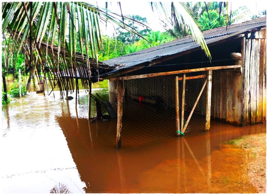 Com vazão do Rio Jacy, Aldeia Karipuna deixa o cenário de alagação - News Rondônia