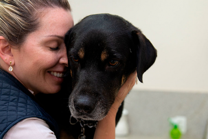 Cuidados especiais promovem a saúde dos pets idosos - News Rondônia