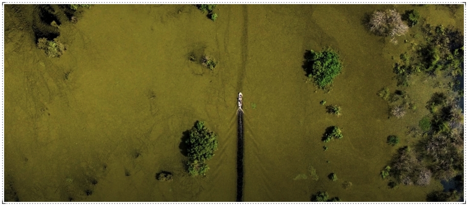 Filme rondoniense Águas que me tocam é premiado em festival de cinema em Pernambuco - News Rondônia