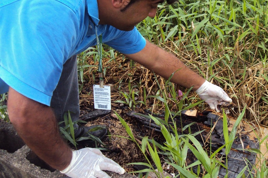 Prefeitura de Vilhena instrui moradores para o combate à proliferação de caramujos - News Rondônia