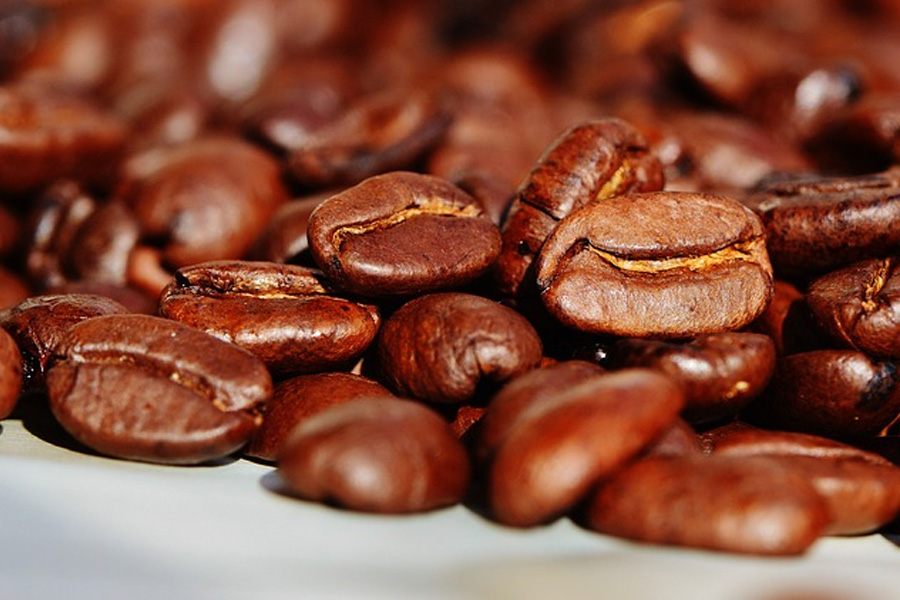 Conab indica a produção de 50,92 milhões de sacas de café beneficiado no Brasil em 2022 - News Rondônia