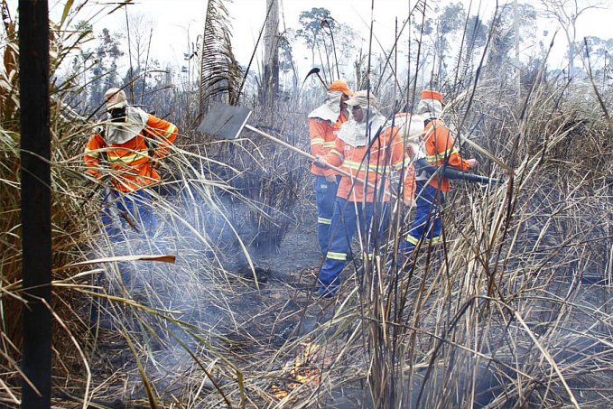 Corpo de Bombeiros divulga resultados parciais da Operação Verde Rondônia e reforça prevenção contra incêndios florestais - News Rondônia