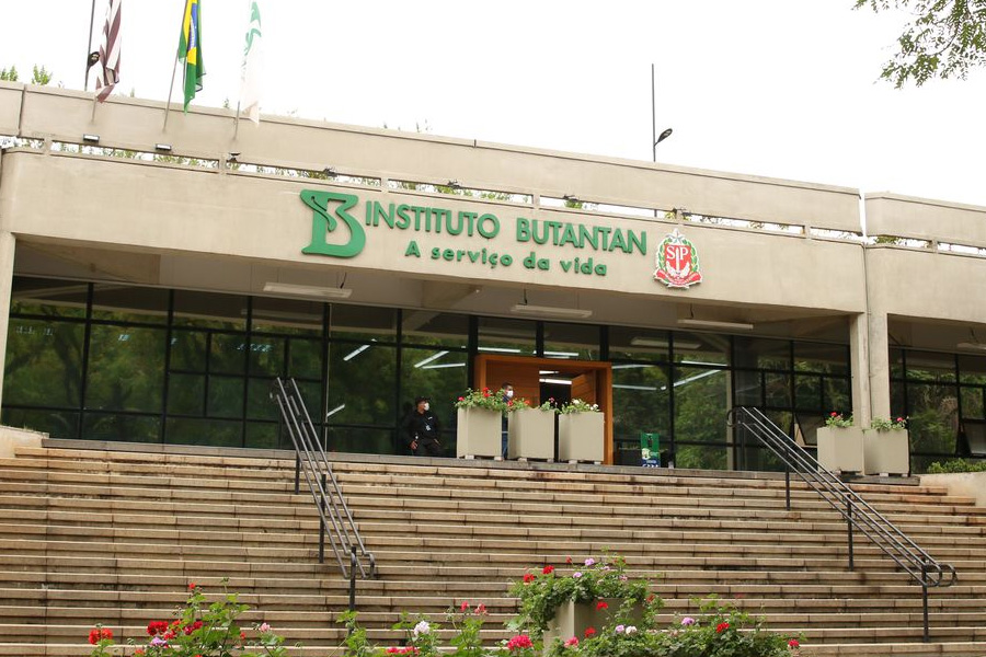 Butantan começa a desenvolver vacina contra gripe aviária - News Rondônia