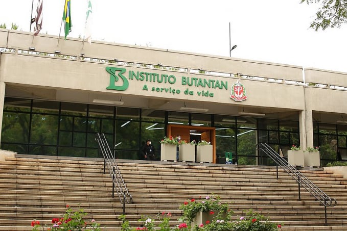 Butantan começa a desenvolver vacina contra gripe aviária - News Rondônia