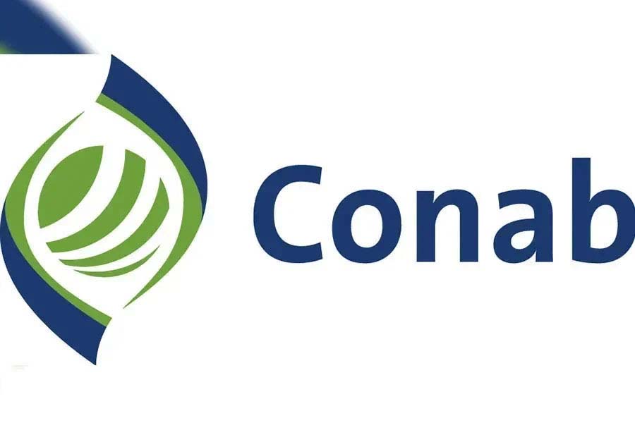Perspectivas da Conab apontam para recuperação da produtividade de milho e soja nas lavouras do Sul do país - News Rondônia