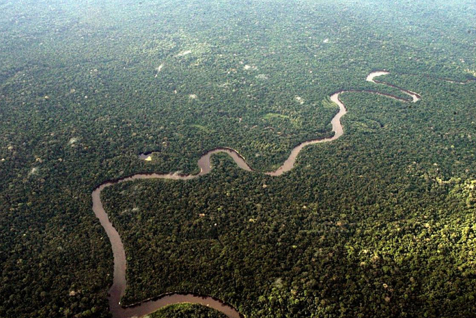 Amazônia Legal: desmatamento no primeiro semestre de 2022 já supera o registro detectado há seis anos - News Rondônia