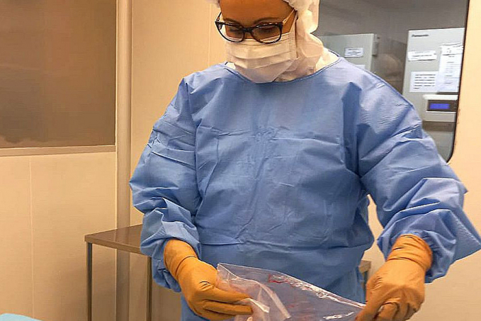 Pesquisa desenvolve curativos biológicos à base de placenta - News Rondônia