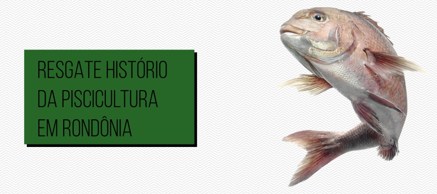 A piscicultura de Rondônia: surgimento... crescimento... decadência - por Antônio Almeida - News Rondônia
