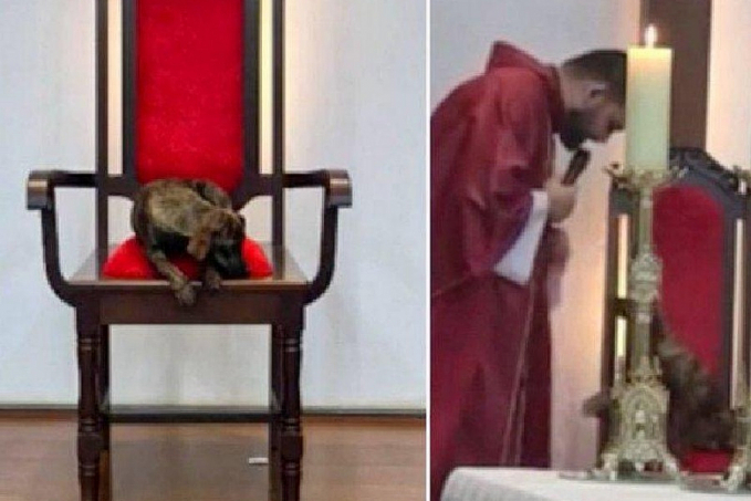 Cachorro senta na cadeira do padre na missa e é adotado - News Rondônia