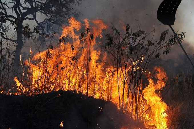 Amazônia concentra 90% da área com focos de incêndio no 1º bimestre - News Rondônia