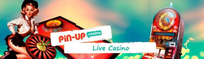 Pin Up do Cassino - News Rondônia
