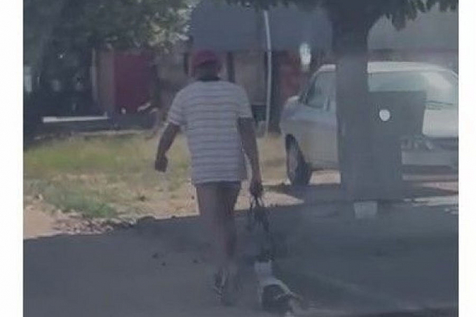 Homem é flagrado arrastando cão bastante ferido pela coleira e revolta os moradores do bairro Primavera, em Ji-Paraná - News Rondônia