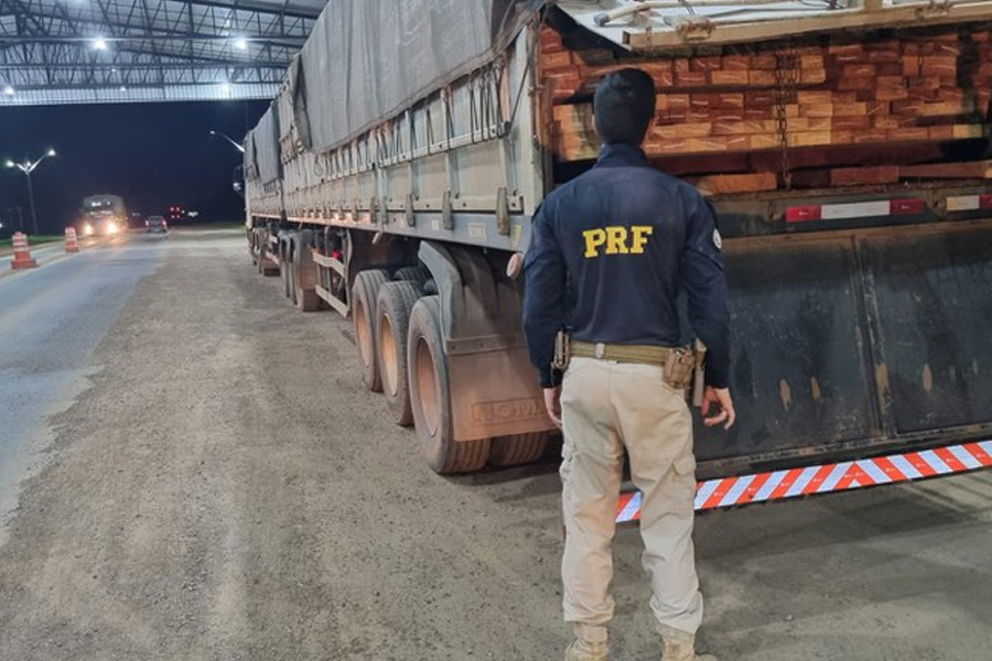 Em Ariquemes, PRF identifica transporte irregular de madeira - News Rondônia