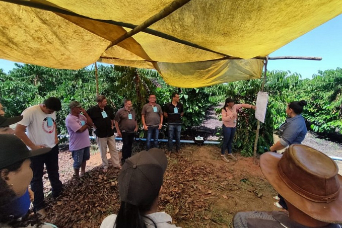 Dia de Campo do Café é promovido pela Emater no distrito de Jacinópolis, em Nova Mamoré - News Rondônia