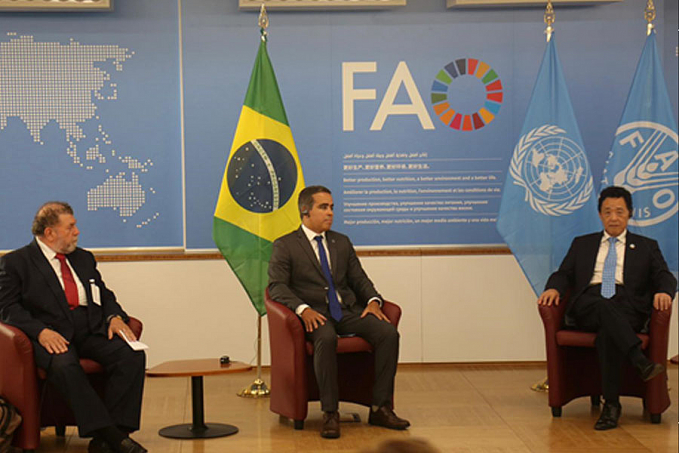 Brasil renova parceria com a Organização das Nações Unidas para Agricultura e Alimentação (FAO) - News Rondônia